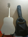 Johnson guitar